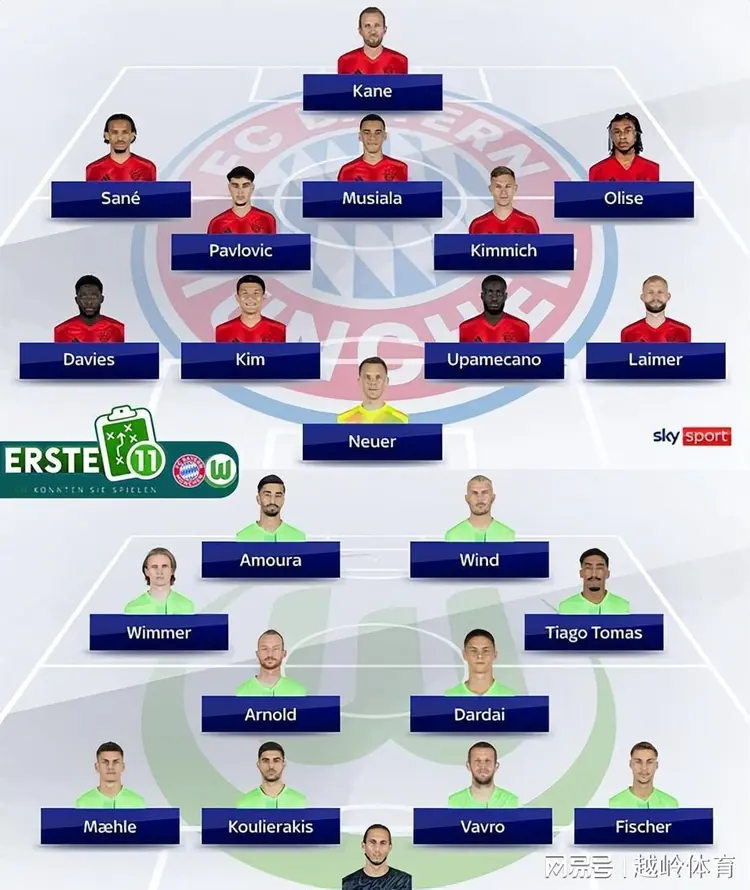 沃尔夫斯堡主场胜利提升排名 沃尔夫斯堡主场胜利提升排名