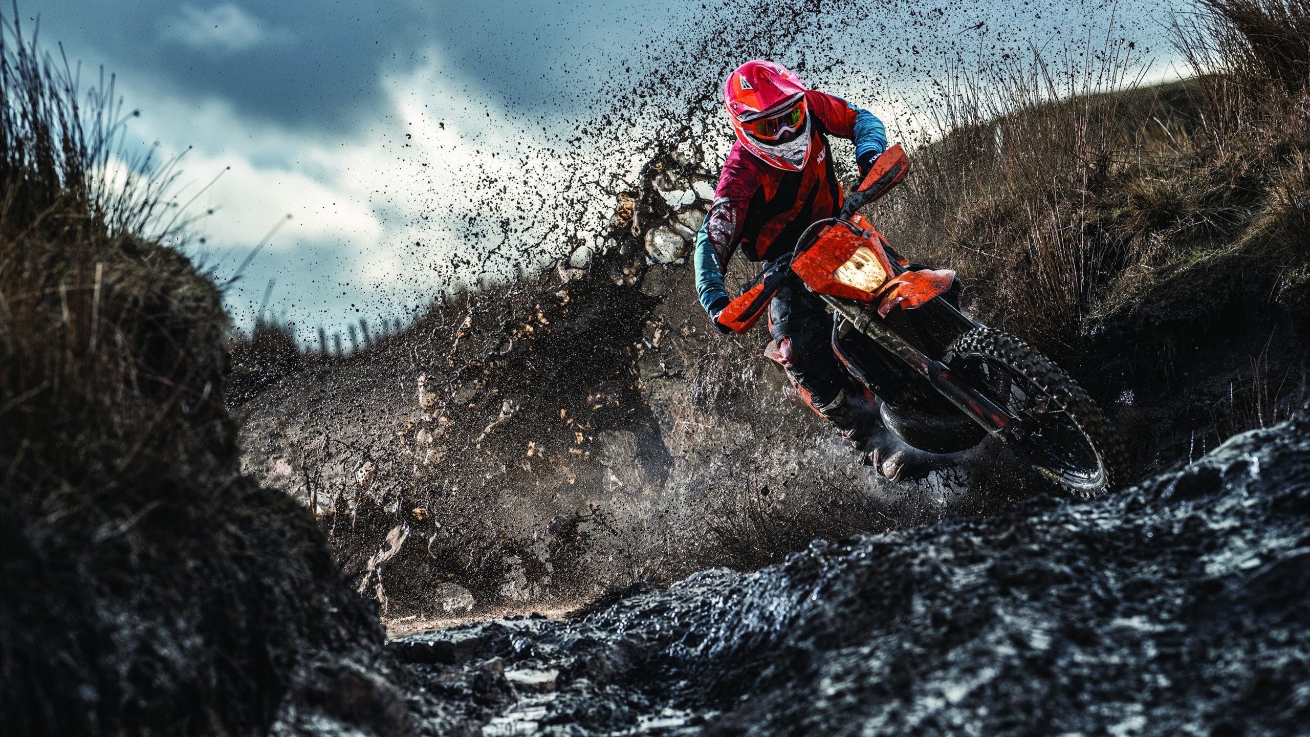 开云APP-双线统治，布鲁克林稳如磐石，卢卡上演极速狂飙