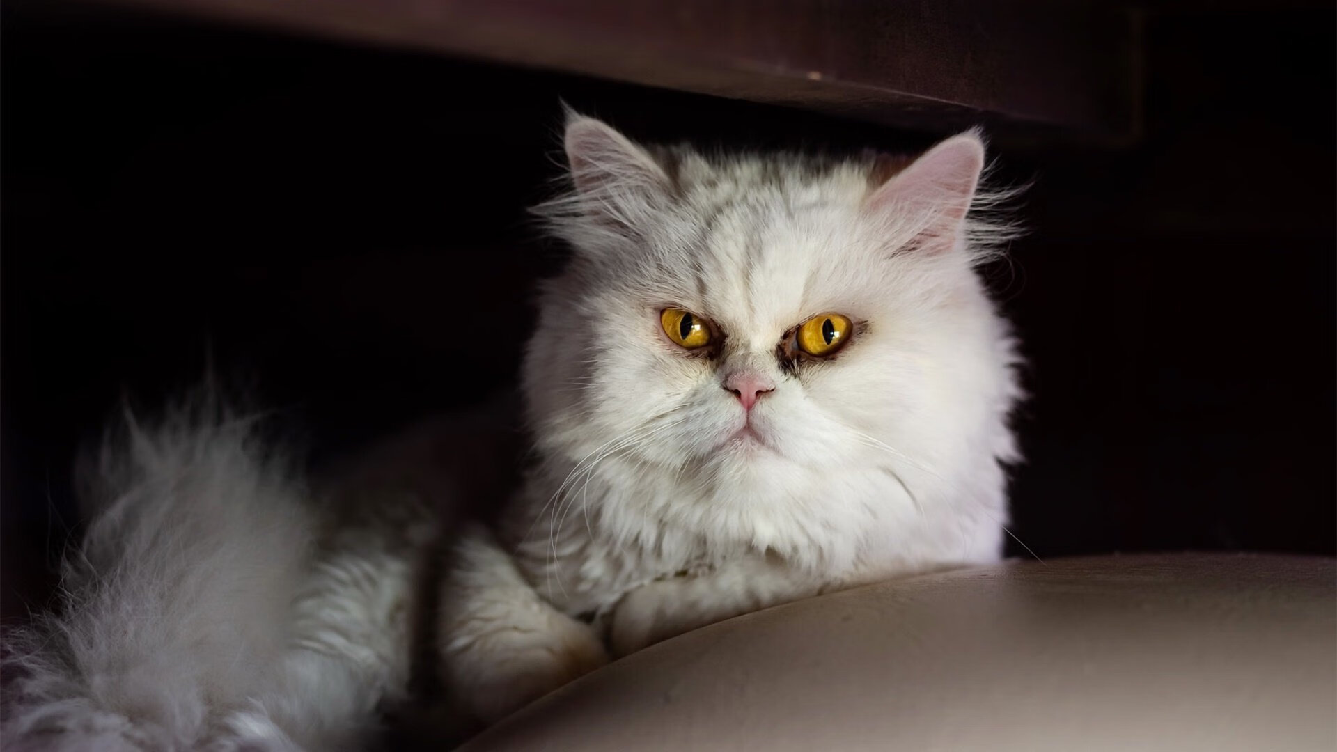 开云体育登录-量子哨响，山西队绝境终结湖人神话，詹姆斯以关键失误改写历史