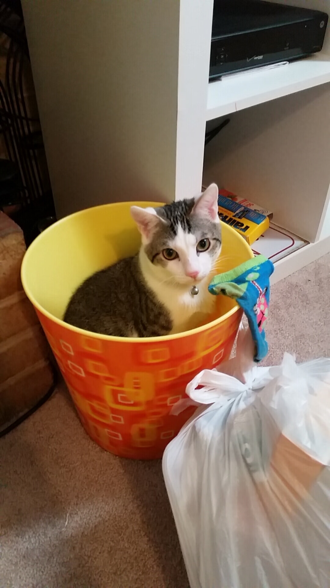 开云官网-绝杀点燃信仰!哈弗茨生涯之夜导演马里惊天逆转,压哨击溃莱比锡红牛