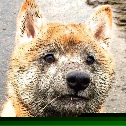 开云体育官网-德布劳内穿越记，当足球大脑接管NBA季后赛