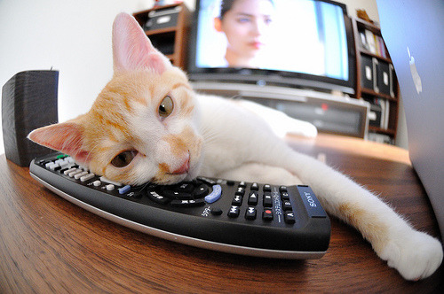 一场被赋予欧冠决赛重量的中超对决，浙江队读秒绝杀深圳队