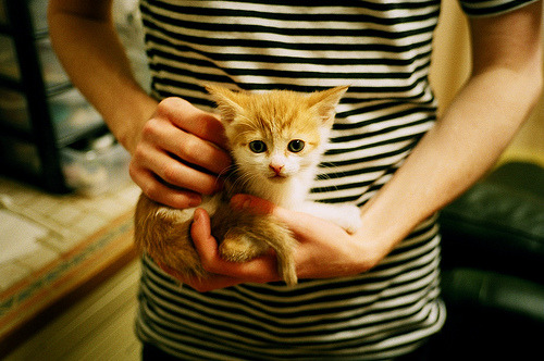 现代角斗场，班凯罗的西决生死夜，一球定江山