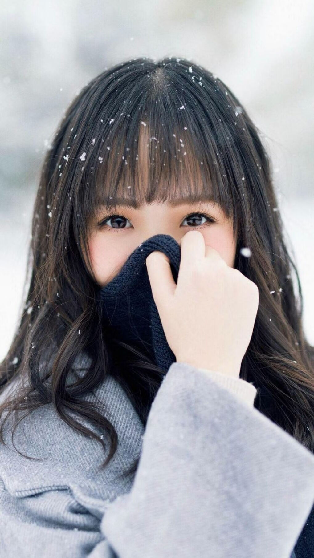 欧冠决赛焦点战,浙江队碾压广厦队