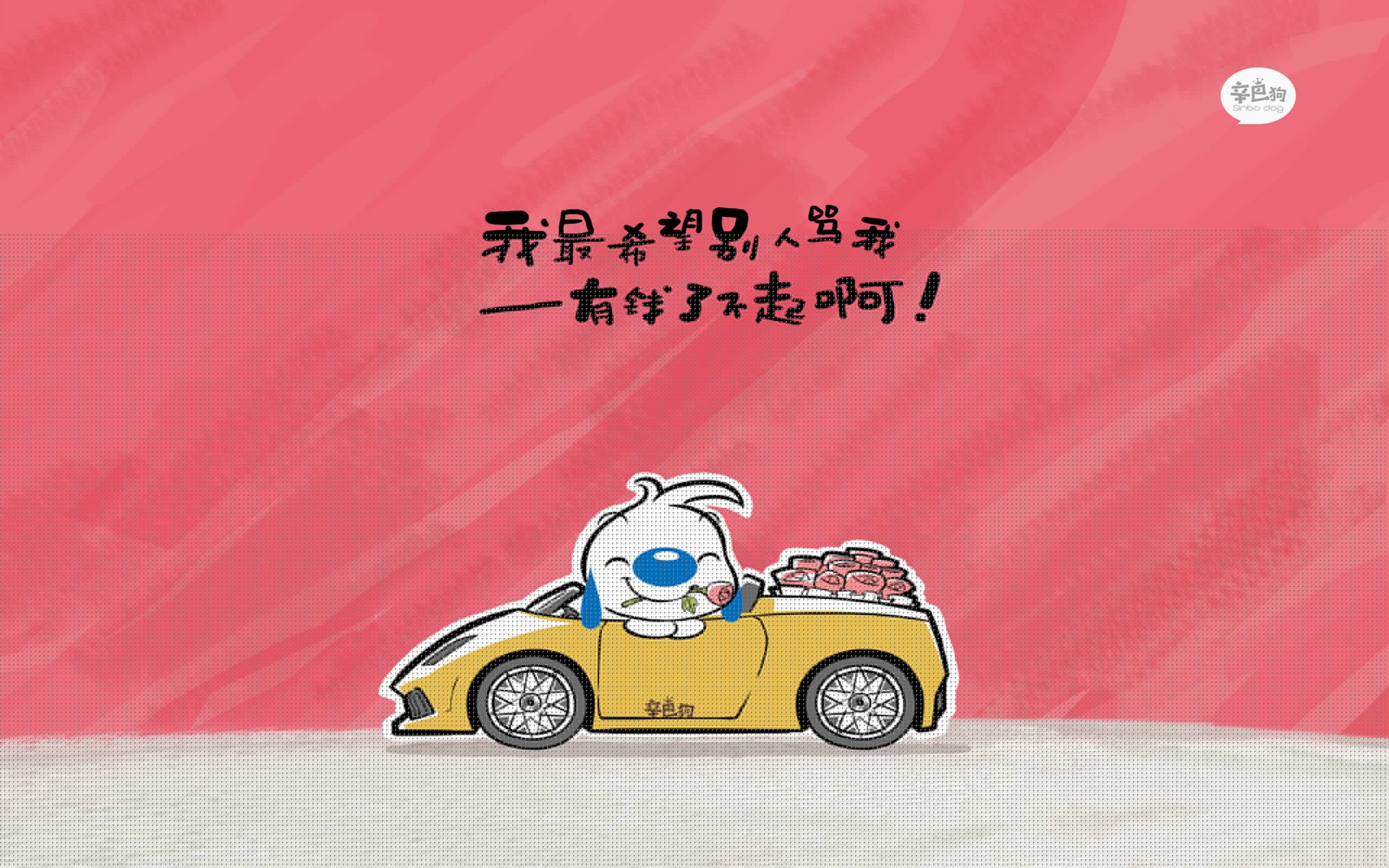 选项（供选择）