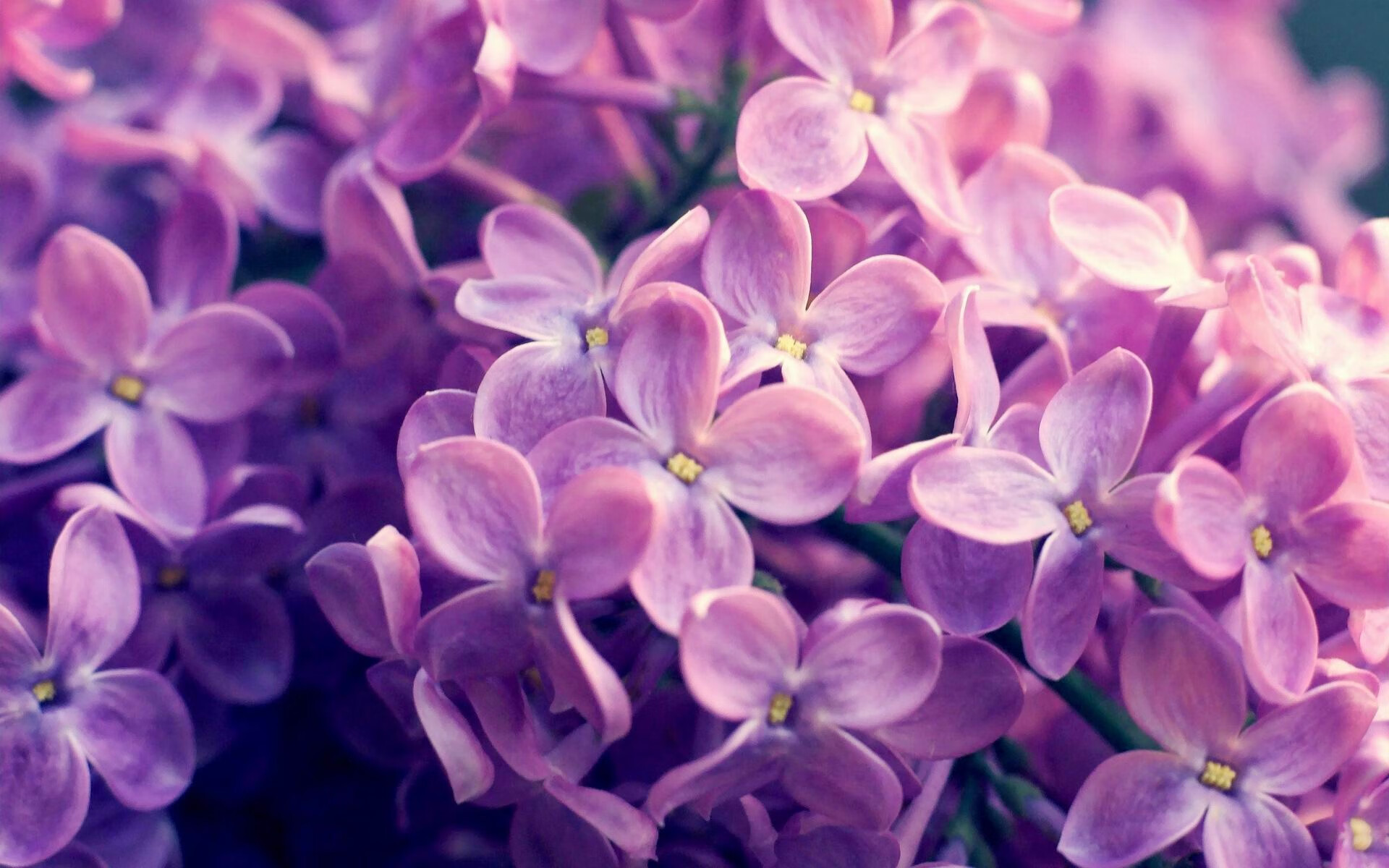 年轻新星马克西轰出统治级数据，卫冕冠军雄鹿上演惊天逆转