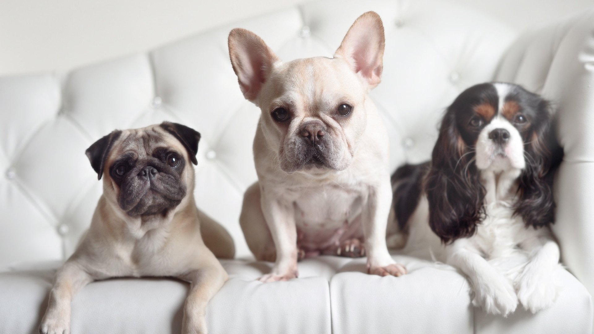 开云sport-双面利刃，当李刚仁的攻防转换艺术遇见喀麦隆铁骑踏碎马竞防线