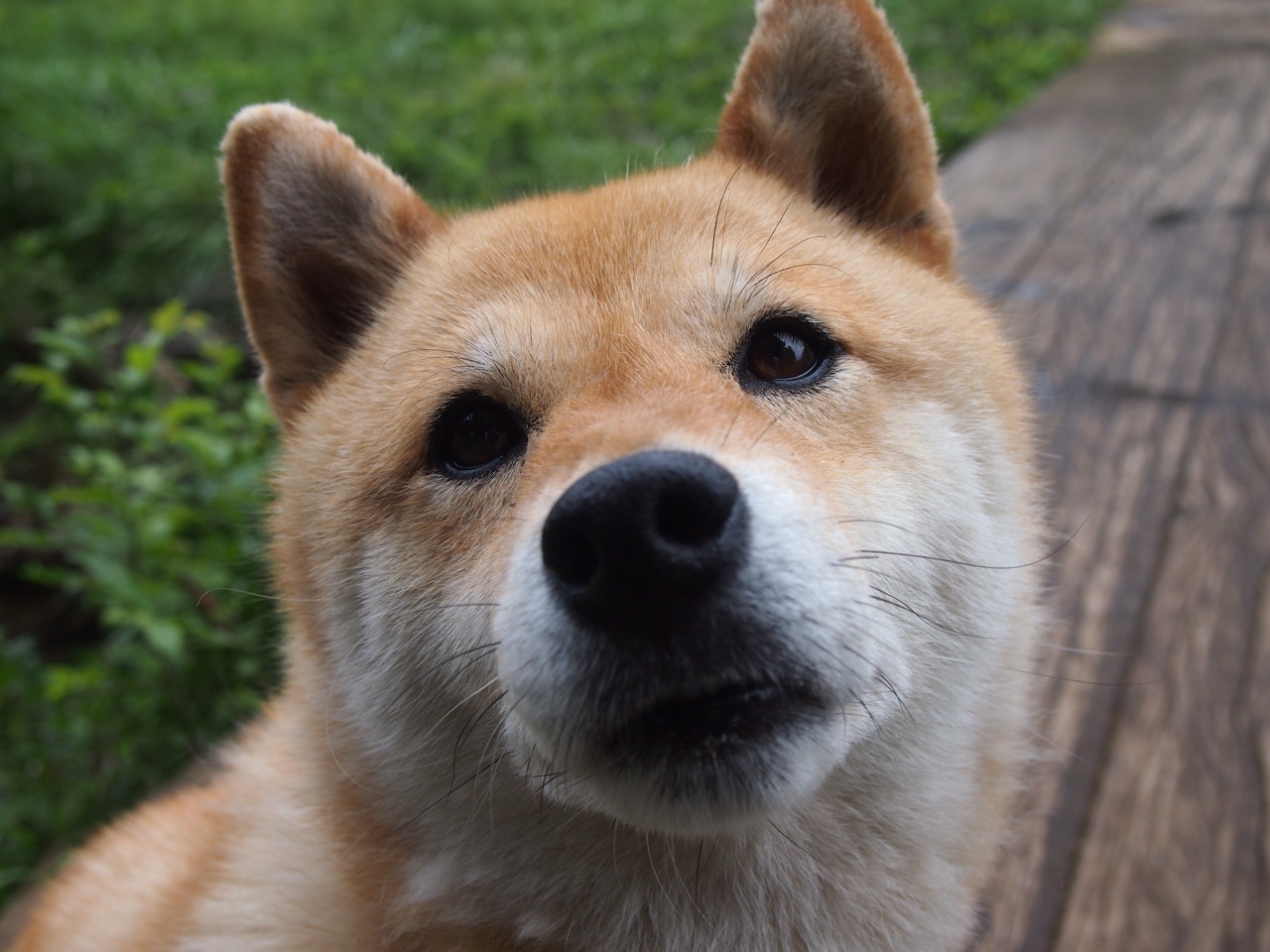 教科书里写不出的章节,欧冠决赛之夜的迪巴拉,表现唯一