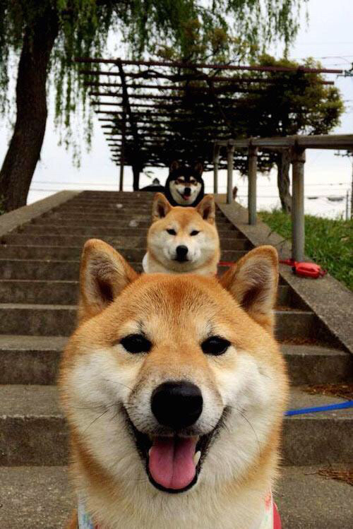 太阳之子的反击，凯塞多的救赎一夜