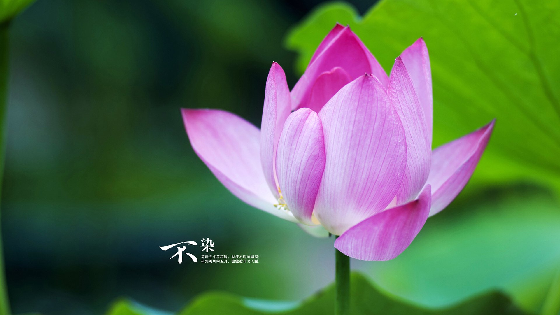 开云-最陌生的舞台，最熟悉的魔法，当德布劳内穿越东决战之夜