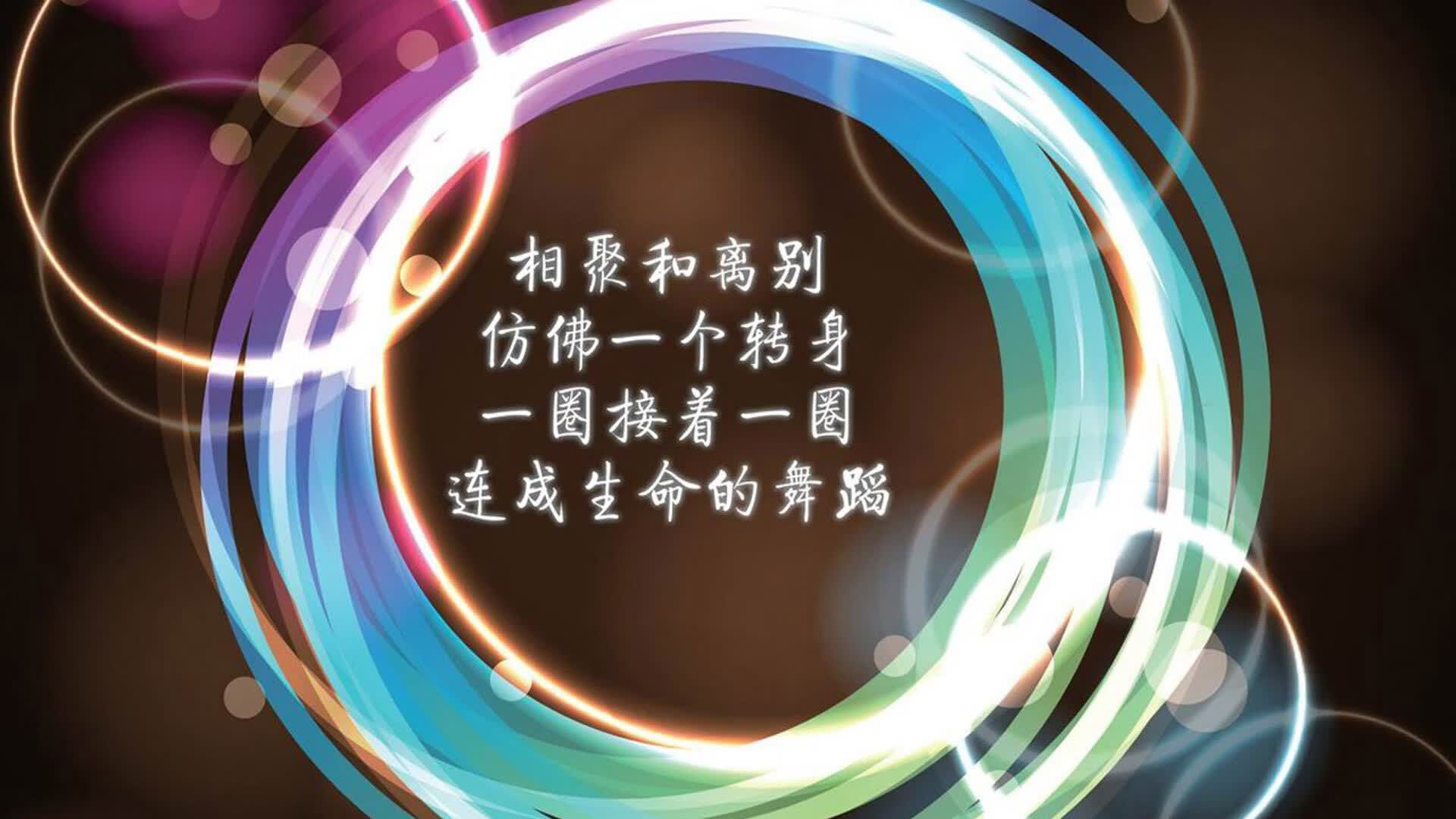 开云体育官网-绝境铁卫，范戴克如何以一己之力，在2026世界杯淘汰赛上书写荷兰足球的钢铁诗篇